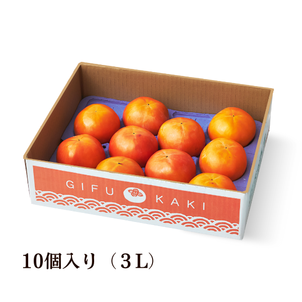 柿_富有柿_富有柿_2406_画像8.png