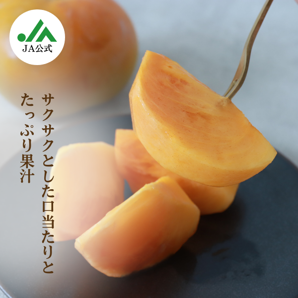 大野柿オンライン直売所｜【JAいび川公式】岐阜県揖斐郡から甘柿を産地直送