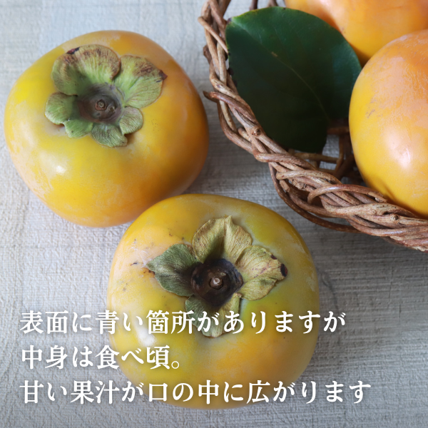 太秋柿 | JAいび川公式オンラインショップ｜岐阜県揖斐郡から自慢の柿