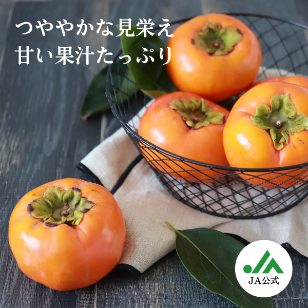 早秋柿 | JAいび川公式オンラインショップ｜岐阜県揖斐郡から自慢の柿