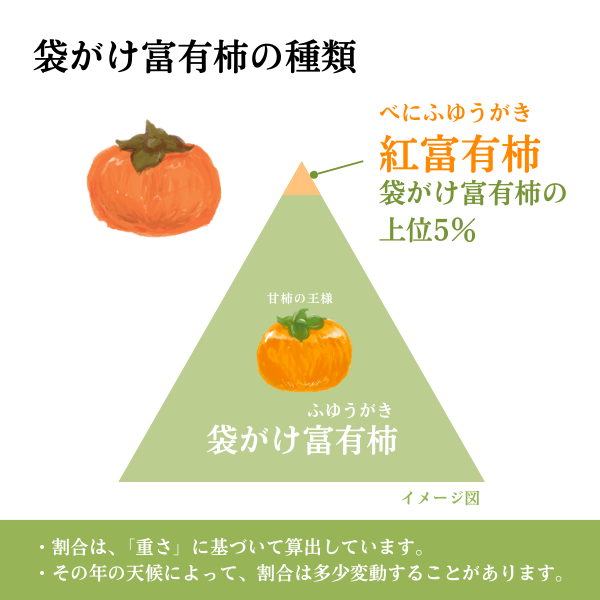 【特別価格】紅富有柿＆揖斐の匠セットの商品画像 3
