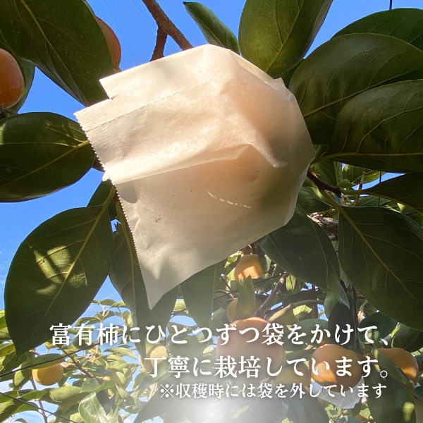【特別価格】紅富有柿＆揖斐の匠セットの商品画像 5