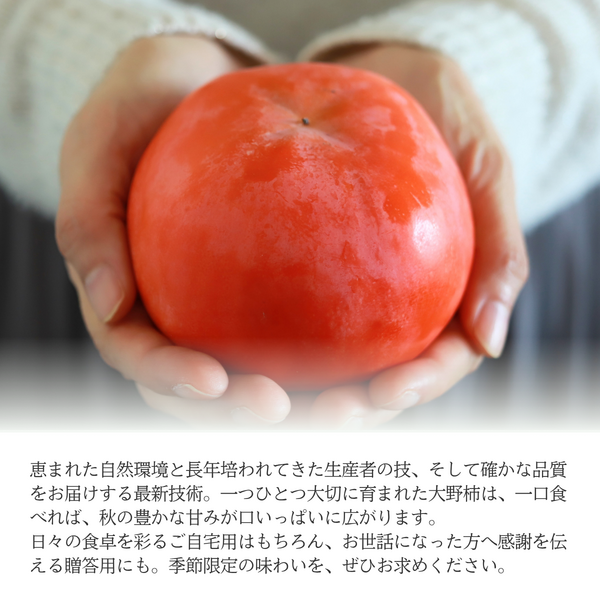 果宝柿【12月中旬より順次発送】☆彡大野柿を産地直送の商品画像 13
