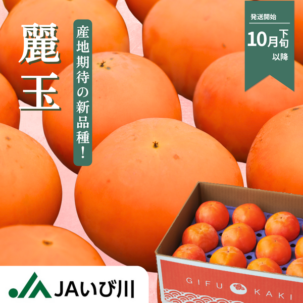 麗玉柿【10月下旬より順次発送】☆彡大野柿を産地直送