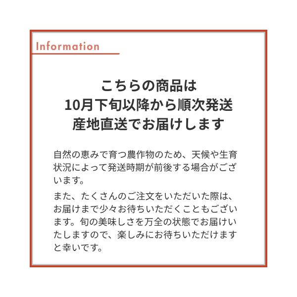 麗玉柿【10月下旬より順次発送】☆彡大野柿を産地直送の商品画像 5