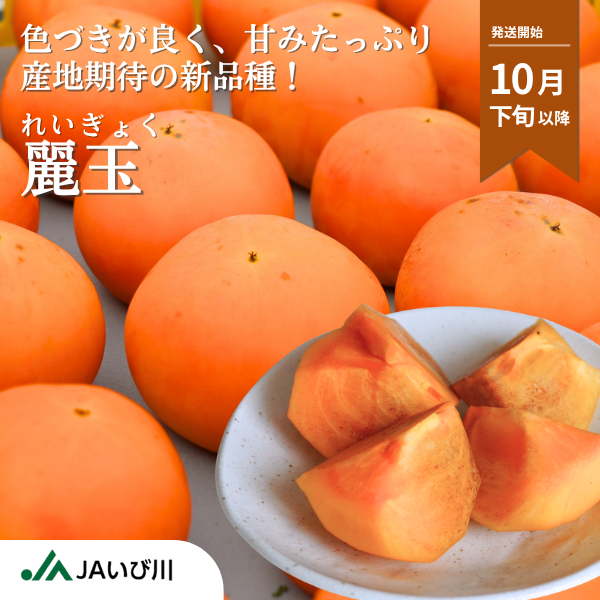 麗玉柿【10月下旬より順次発送】☆彡大野柿を産地直送の商品画像 1