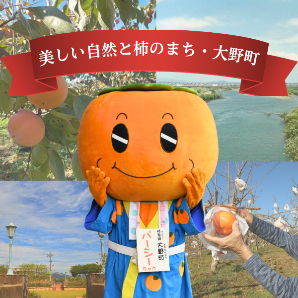 麗玉柿【10月下旬より順次発送】☆彡大野柿を産地直送の商品画像 4