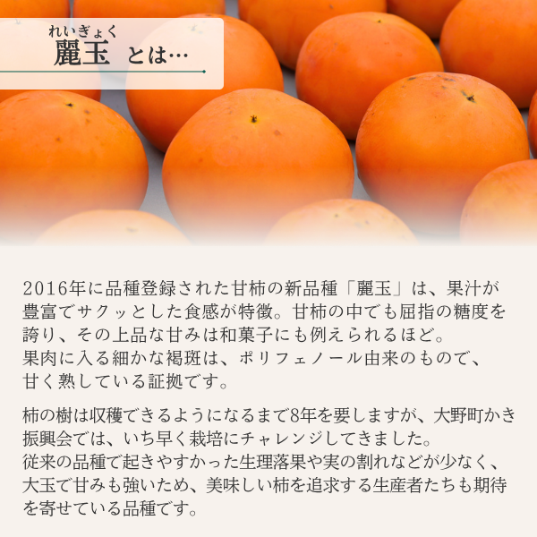 麗玉柿【10月下旬より順次発送】☆彡大野柿を産地直送の商品画像 6