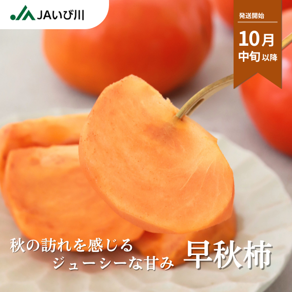早秋柿【10月中旬より順次発送】☆彡大野柿を産地直送