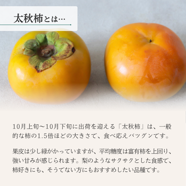 太秋柿【10月下旬より順次発送】☆彡大野柿を産地直送の商品画像 2