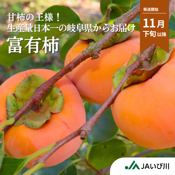 富有柿【11月末より順次発送】☆彡大野柿を産地直送の商品画像 1