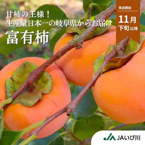 富有柿【11月末より順次発送】☆彡大野柿を産地直送