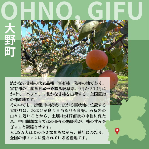 袋がけ富有柿【12月中旬より順次発送】☆彡大野柿を産地直送の商品画像 25