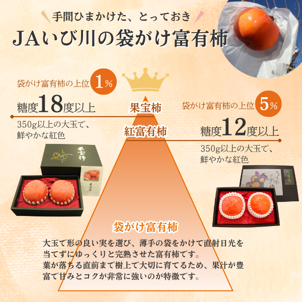 袋がけ富有柿【12月中旬より順次発送】☆彡大野柿を産地直送の商品画像 4